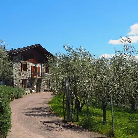 Fantastica Fra Le Alpi Valtellinesi * Tresivio