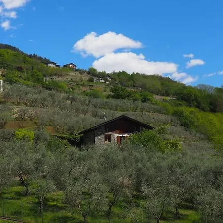 Villa Fantastica Fra Le Alpi Valtellinesi *