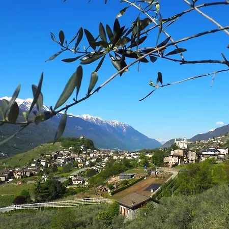Fantastica Fra Le Alpi Valtellinesi